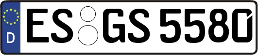 ES-GS5580