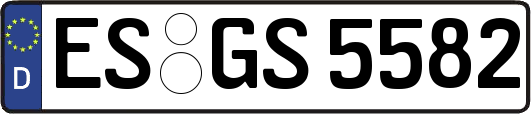 ES-GS5582