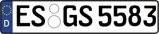 ES-GS5583