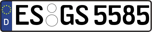 ES-GS5585