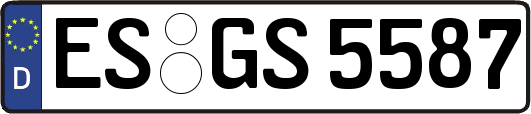 ES-GS5587