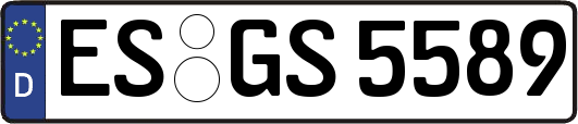 ES-GS5589