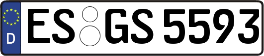 ES-GS5593