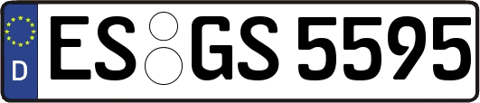 ES-GS5595