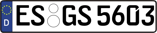 ES-GS5603