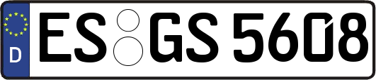 ES-GS5608