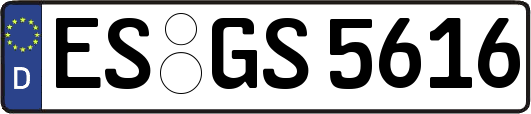 ES-GS5616