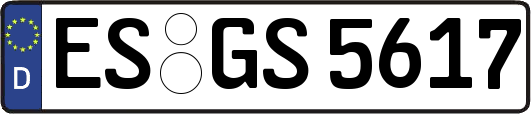 ES-GS5617