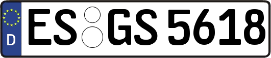 ES-GS5618