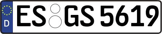 ES-GS5619