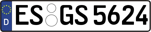 ES-GS5624