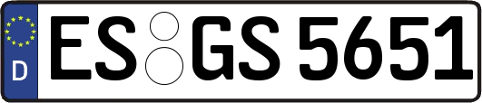 ES-GS5651