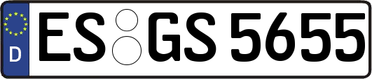 ES-GS5655
