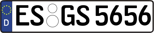 ES-GS5656