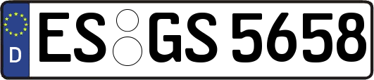 ES-GS5658