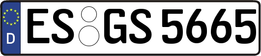ES-GS5665