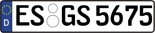 ES-GS5675