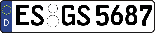 ES-GS5687