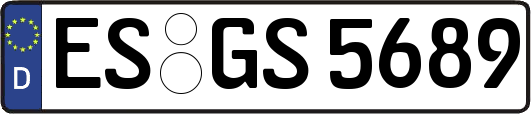 ES-GS5689