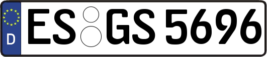 ES-GS5696