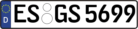 ES-GS5699