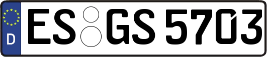 ES-GS5703