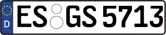 ES-GS5713