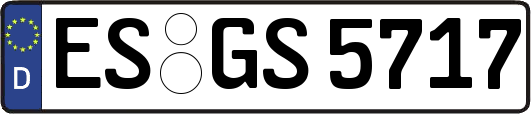 ES-GS5717
