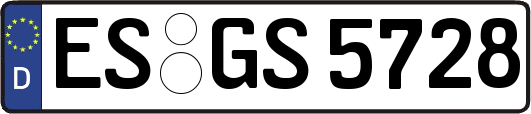 ES-GS5728