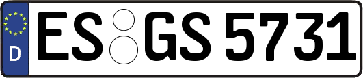 ES-GS5731