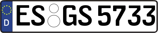 ES-GS5733