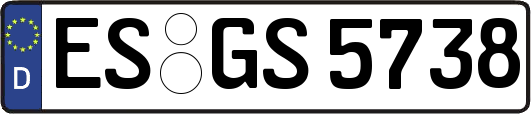 ES-GS5738