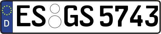 ES-GS5743