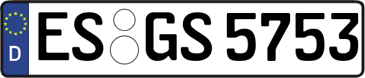 ES-GS5753