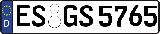 ES-GS5765
