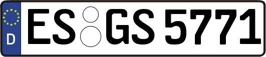 ES-GS5771