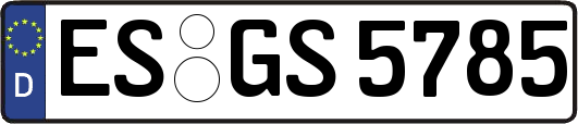 ES-GS5785