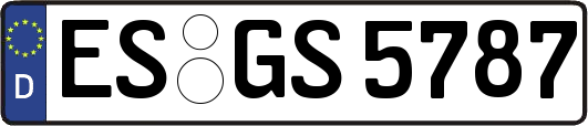 ES-GS5787