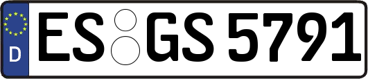 ES-GS5791
