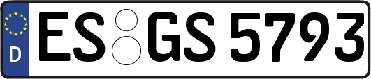 ES-GS5793