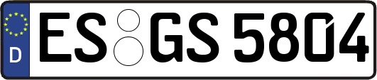 ES-GS5804
