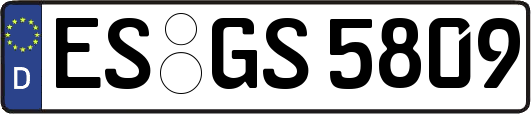 ES-GS5809
