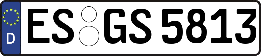 ES-GS5813