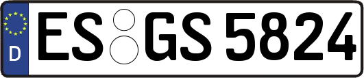 ES-GS5824