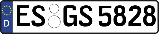 ES-GS5828