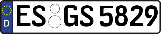 ES-GS5829
