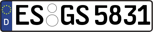 ES-GS5831