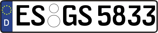 ES-GS5833