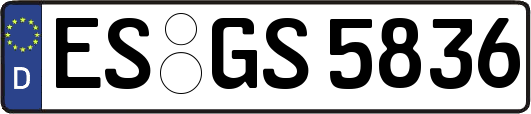 ES-GS5836