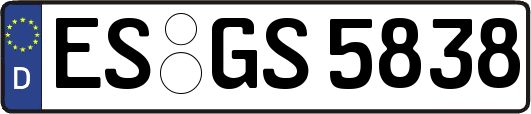 ES-GS5838